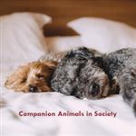 ANSC 250: Companion Animals in Society (2023 edition) eText