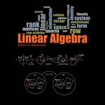 MATH 415: Applied Linear Algebra eText Only